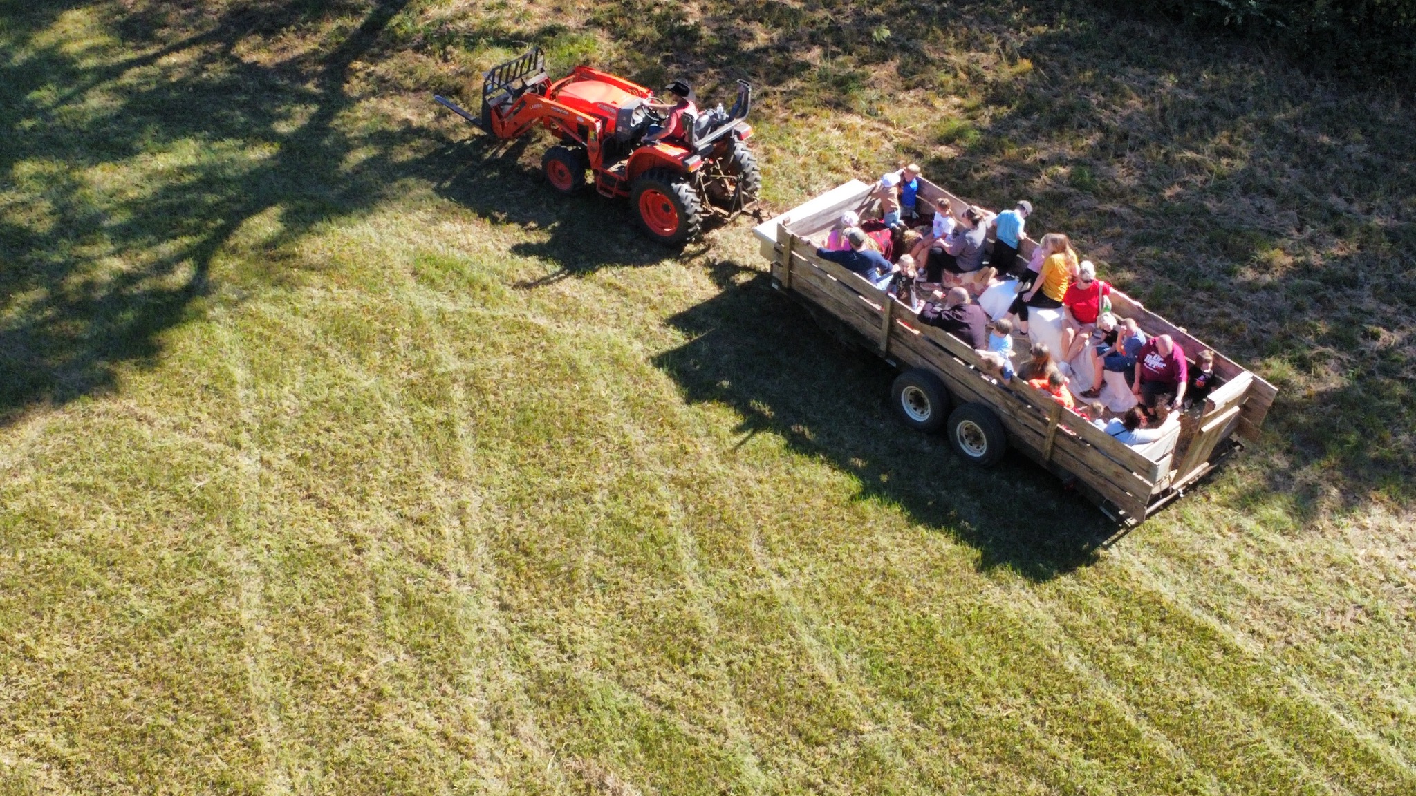 Hay wagon being pulled through the fields